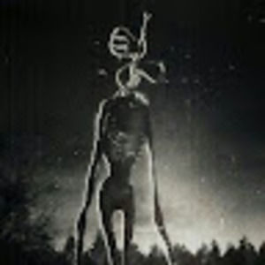 Meet your Posher, Alec